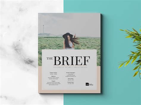 The Brief – StockInDesign