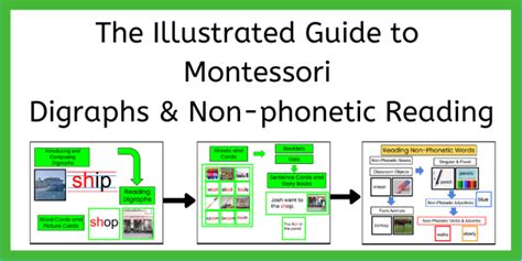 The Illustrated Guide To Montessori Digraphs And Non Phonetic Words