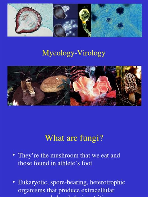 Mycology Virology Fungus Sexual Reproduction