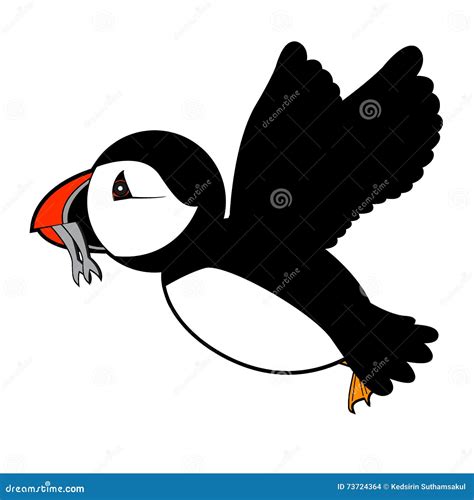 Puffin Vector Illustration on White Background Stock Vector ...