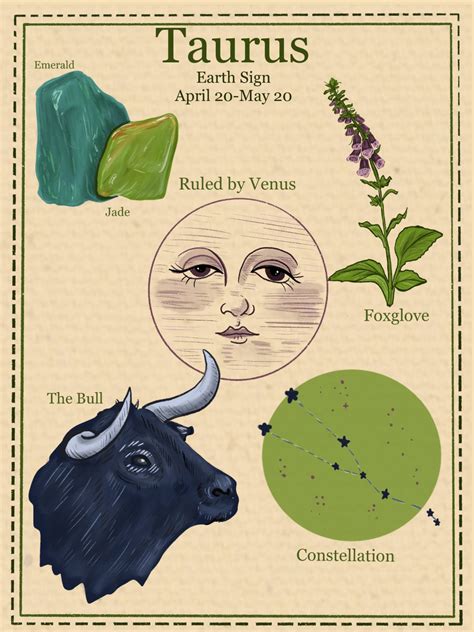 Zodiac Astrology Vintage Style Poster Taurus Etsy