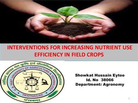 Nutrient Use Efficiency