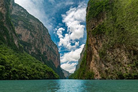 Sumidero Canyon No Chiapas Mexico Foto De Stock Imagem De Selva