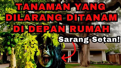 Awas Bawa Sial Sakit7 Tanaman Yang Dilarang Ditanam Di Depan Rumah