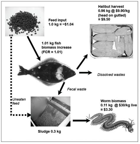 Integrated Multi Trophic Aquaculture Center For Cooperative