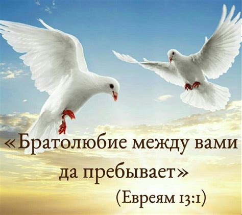 БРАТОЛЮБИЕ – Истина Библии