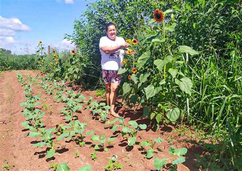 Primeiro certificado orgânico da Rede Ecovida em Mariluz é entregue à