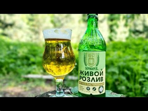 Обзор на Пиво "Бочкарёв Живой Розлив. - YouTube