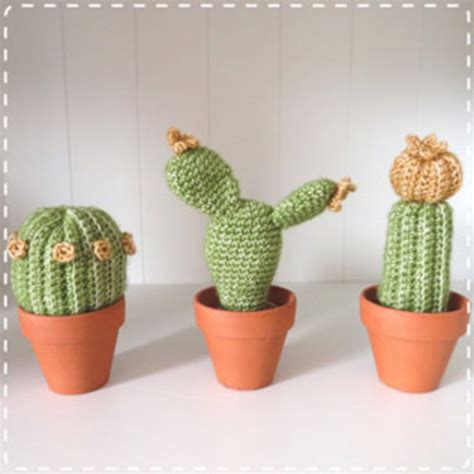 Gratis Haakpatroon CACTUSSEN Freubelweb Crochet Garden Crochet