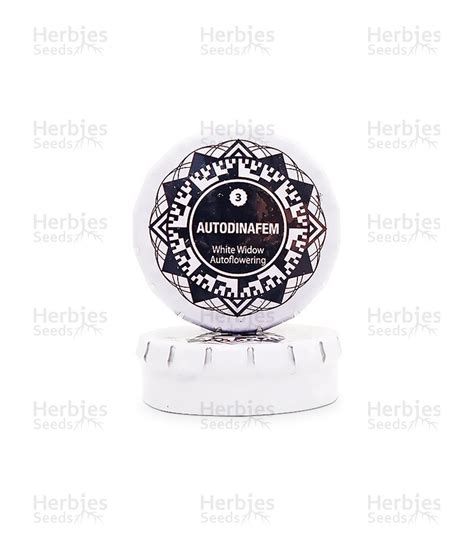 White Widow Autoflowering Cannabis Seeds For Sale Herbies