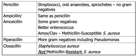 Antimicrobials Antibiotics And Antivirals Flashcards Quizlet