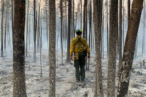 NWT Wildfires: GNWT maintains budget surplus of $5 million - NNSL Media