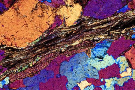 Gneiss Thin Section Polarised Lm Stock Image C Science