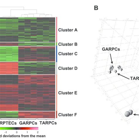 A Two Dimensional Hierarchical Clustering Identified 2134 Gene Probe Download Scientific