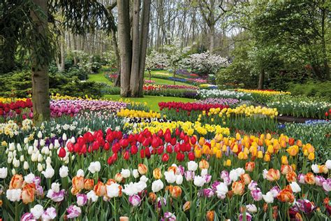 Flower Festival in Holland - The Innsider - Online Magazine Inntel Hotels