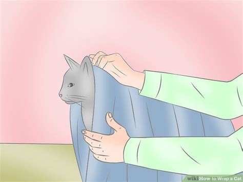 How To Wrap A Cat 11 Steps With Pictures Wikihow