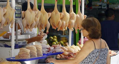 Precio Del Pollo Cuesta Casi S 12 Por Kilo En Lima ¿por Qué Ha Subido Este Producto Midagri