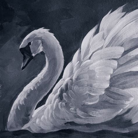 White swan Original Acrylic Painting Black and White Art | Swans art, Swan painting, Black and ...