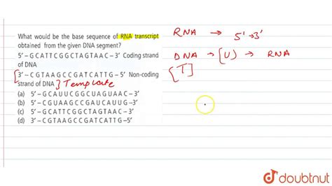 Base Sequence Of Dna