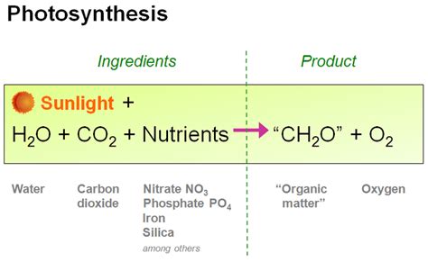 Equation For Photosynthesis