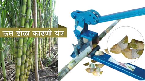 Sugarcane Bud Chipper ऊस डोळा काढणी यंत्र Youtube