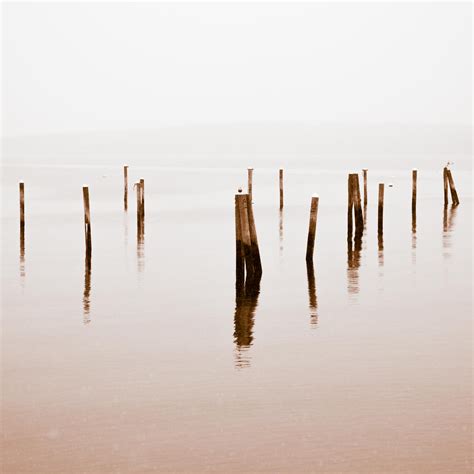 Maine Harbors – Jim Dugan