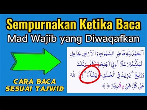 Cara Baca Mad Wajib Muttasil Ketika Waqaf Latihan Tartil Quran Sesuai