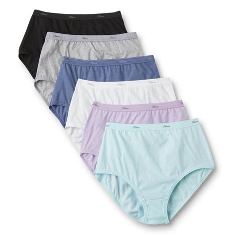 Hanes Womens 6 Pack Tagless Brief Panties