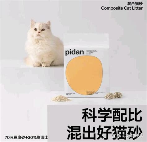 十大最佳猫砂猫砂什么牌子最好用 知乎