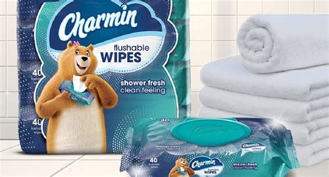 Charmin Flushable Wipes 160-Count Just $5.59 Shipped on Amazon (Reg ...