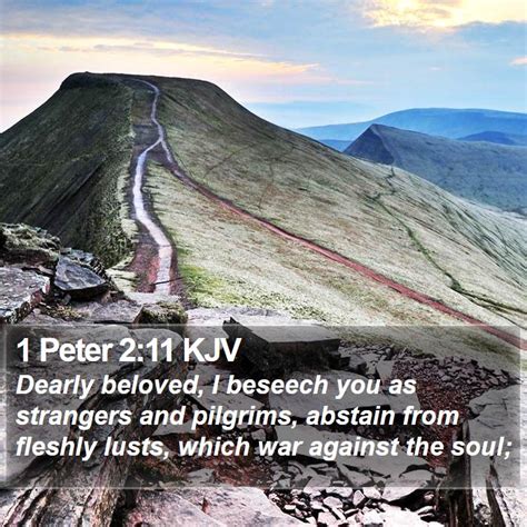 Peter Kjv Bible Verse Images