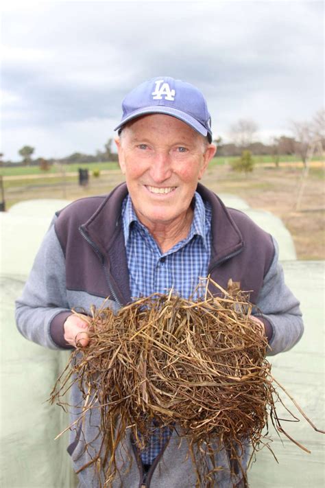 Good Silage Is A No Brainer Dairy News Australia