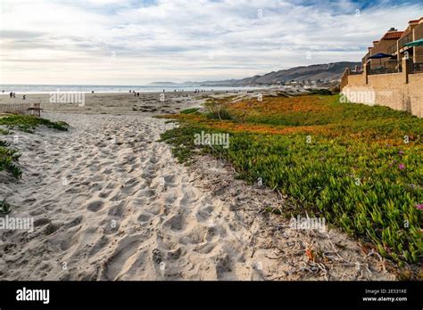 Pismo Beach California Usa January Pismo Beach Charming