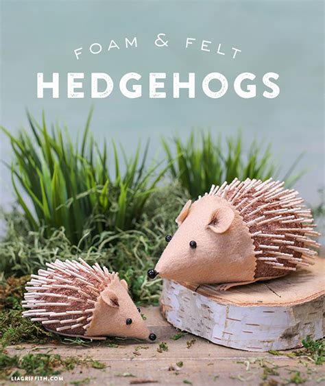 DIY Hedgehog for Kids to Craft - Lia Griffith