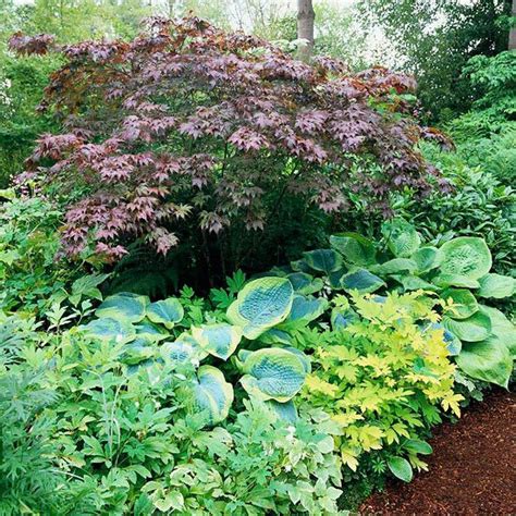 Shade Garden Design Ideas That Prove You Can Grow Colorful Plants