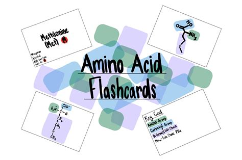 Amino Acid Flashcards Digital File Etsy