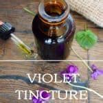 How To Make Violet Tincture To Ease Your Cough Simplybeyondherbs