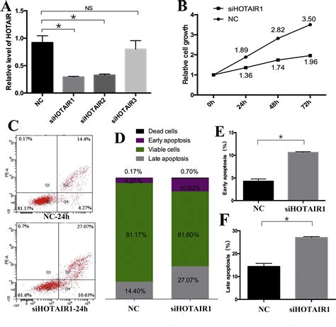 Long Non Coding Rnamrna Correlation Analysis Reveals The Potential