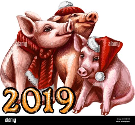 Chinese Zodiac Sign Year Of Pig Happy Chinese New Year 2019 Year Of