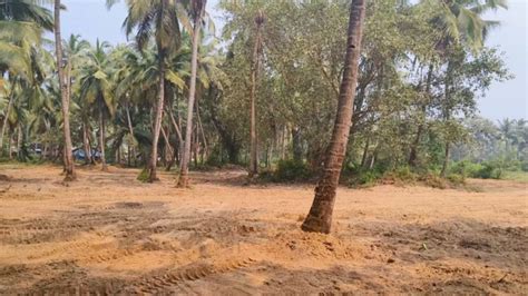 Residential Plot 255 Sq Meter For Sale In Borim Ponda Goa Rei1235320