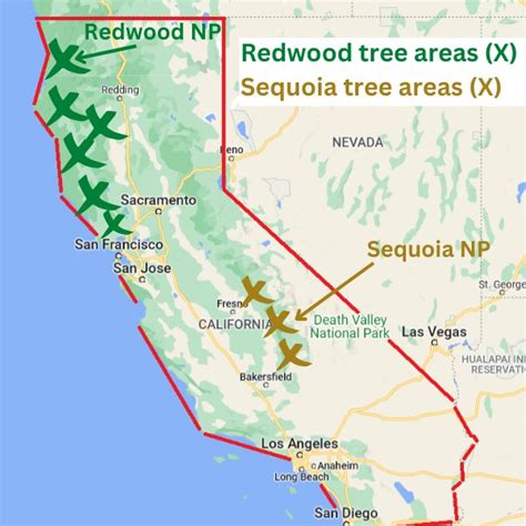 Redwood Vs Sequoia Which Park Should You Visit