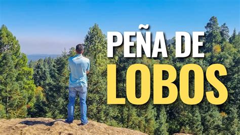 El Bosque Encantado de Peña de Lobos YouTube