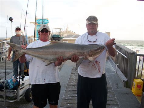 More Than A Great Fishing Experience In Florida Pensacola Beach Gulf Pier