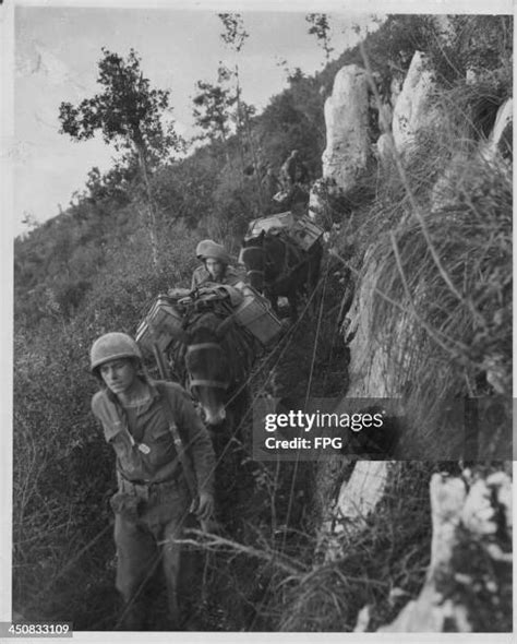 Italy World War Two Photos and Premium High Res Pictures - Getty Images