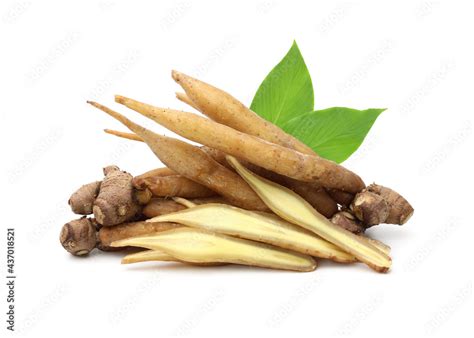 Finger Root With Leaf Isolated On White Backgroundwhite Krachaiherb