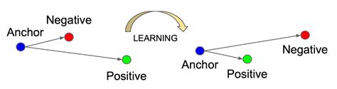 What Is Contrastive Learning A Guide