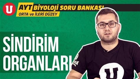 AYT Biyoloji Orta ve İleri Düzey Seans 11 Sindirim Organları YouTube