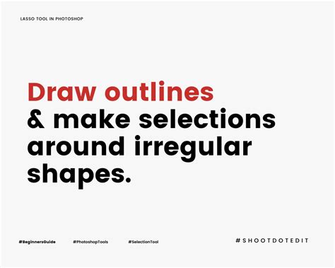 A Beginner’s Guide To Lasso Tool In Photoshop Shootdotedit