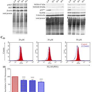 NOX4 expression is up-regulated in CRC. (A) A meta-analysis of NOX4... | Download Scientific Diagram