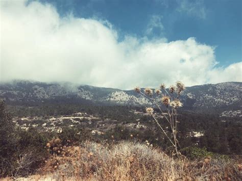 Page 44 Lebanon Landscape Images Free Download On Freepik